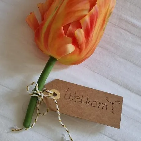 Tolstraat 75 - Senior Care 3* 阿姆斯特丹